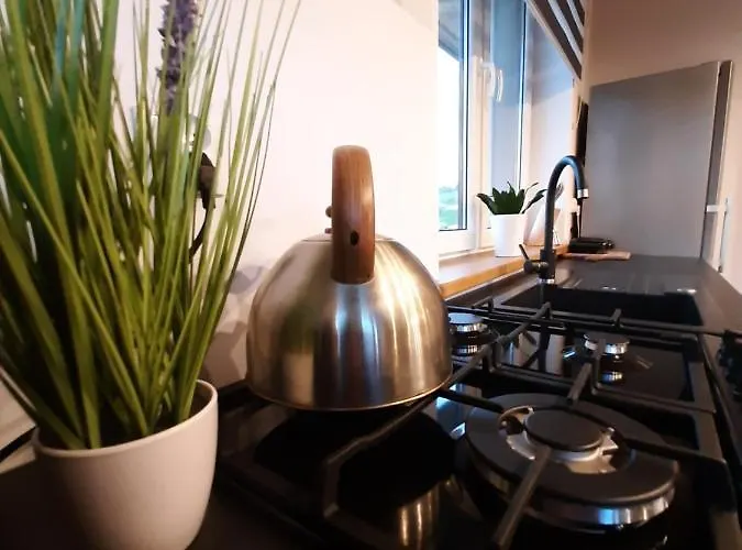 Tatil Evi U Andrzeja 2 Ciche (Nowy Targ)